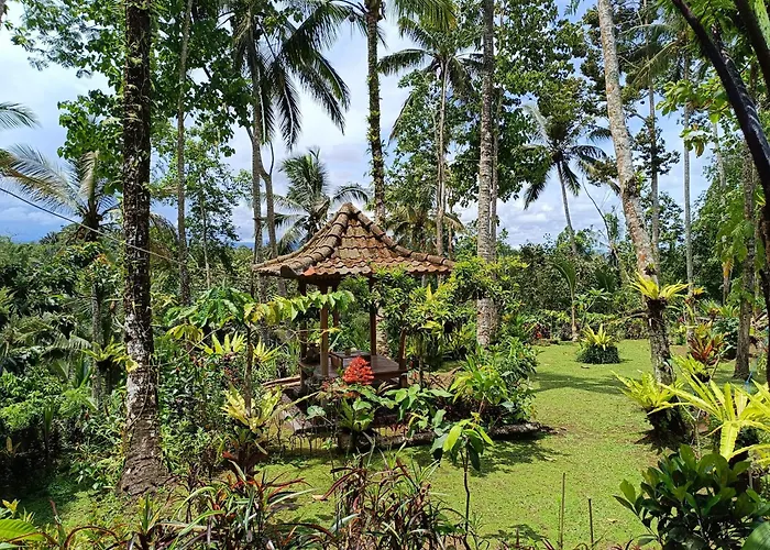 D\'Jungle Eco Stay