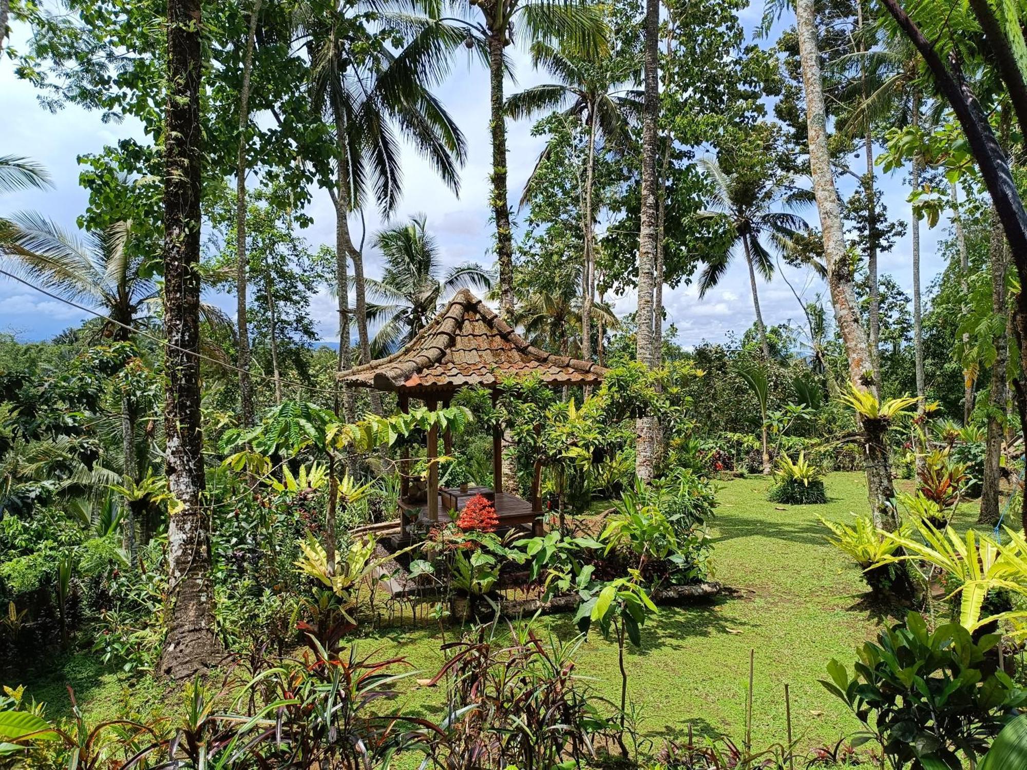 Chalet D'jungle Eco Penebel