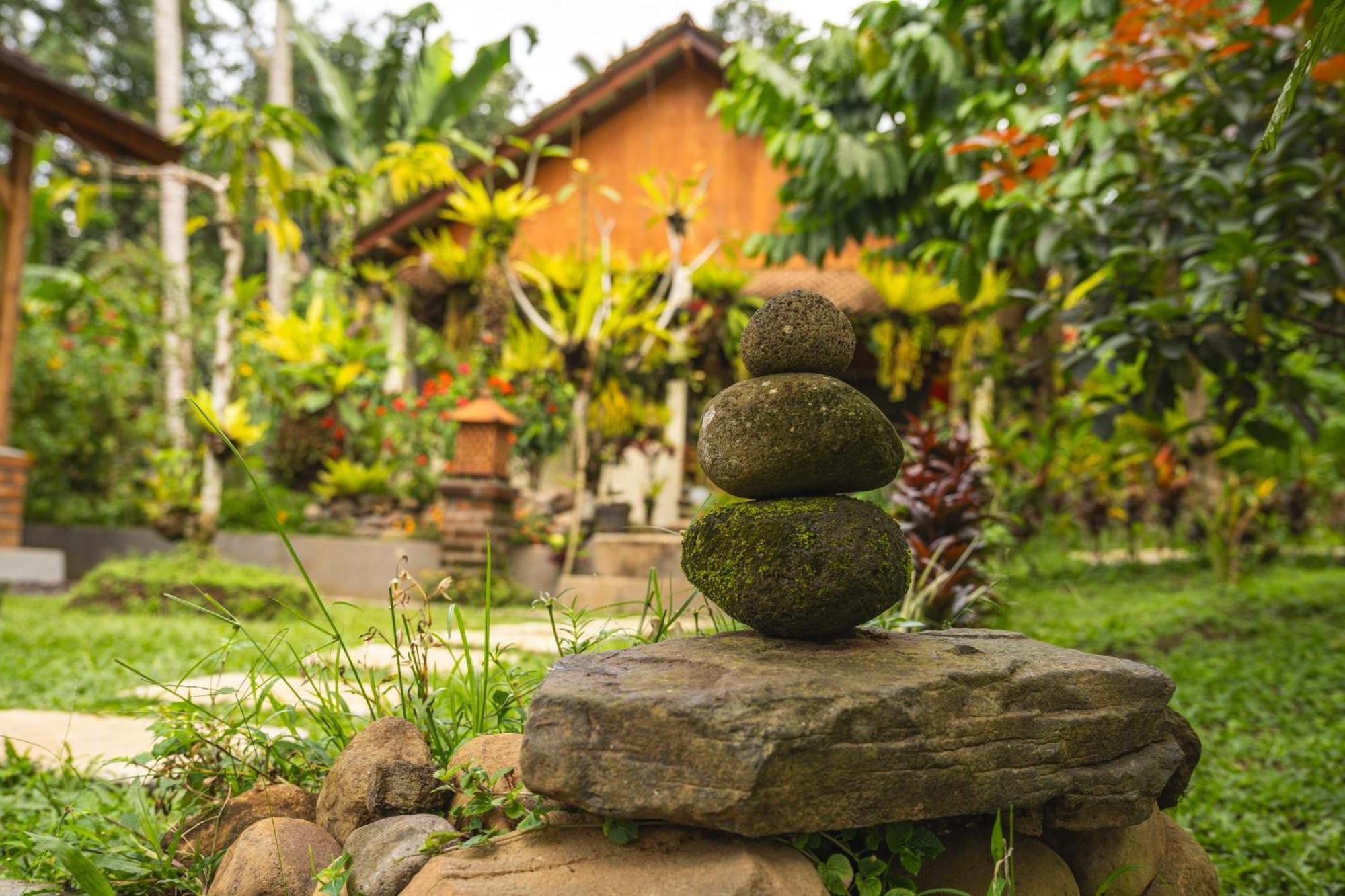 D'jungle Eco Chalet