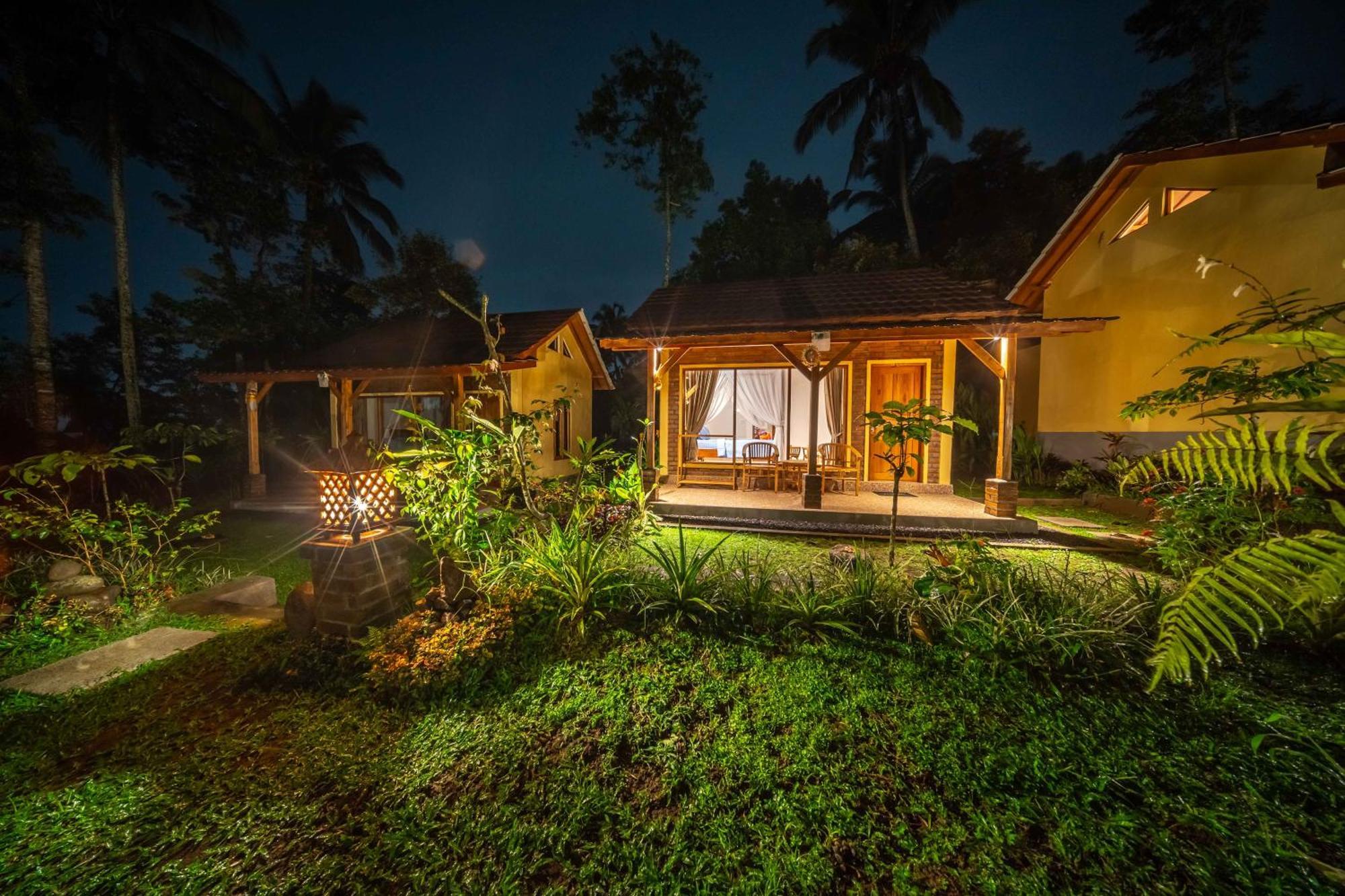D'jungle Eco *